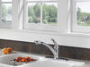 Single Handle Pull-Out Kitchen Faucet