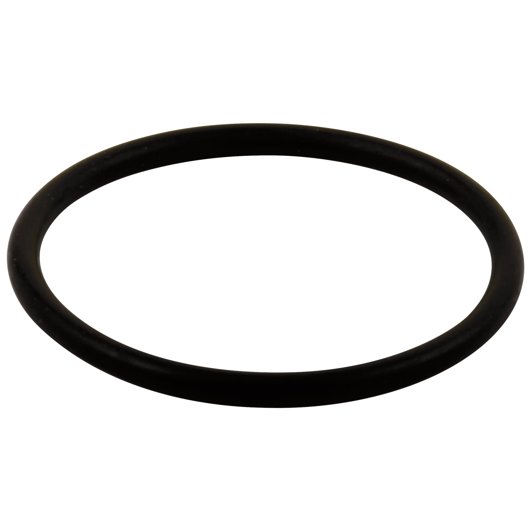 O-Ring - Large - All Monitor® Series