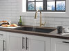 Pull-Down Kitchen w/ShieldSpray 1L (Recertified)