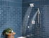 Shower Arm