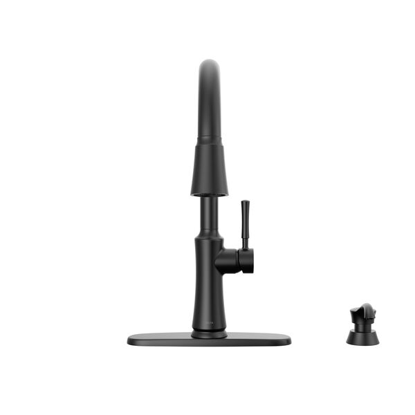 Single Handle Pull-Down Kitchen Faucet with Soap Dispenser and ShieldSpray Technology