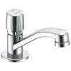 Single Hole Metering Slow-Close Bathroom Faucet