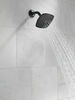 Shower Arm 5-3/4"