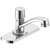 Single Hole Metering Faucet with Coverplate