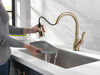 Single Handle Pull-Down Kitchen Faucet with ShieldSpray® Technology