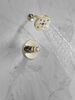 Shower Trim with Rough Bundle - 14 Series