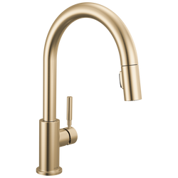 Image-Master-19933-DST