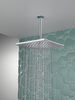 Single-Setting Metal Raincan Shower Head