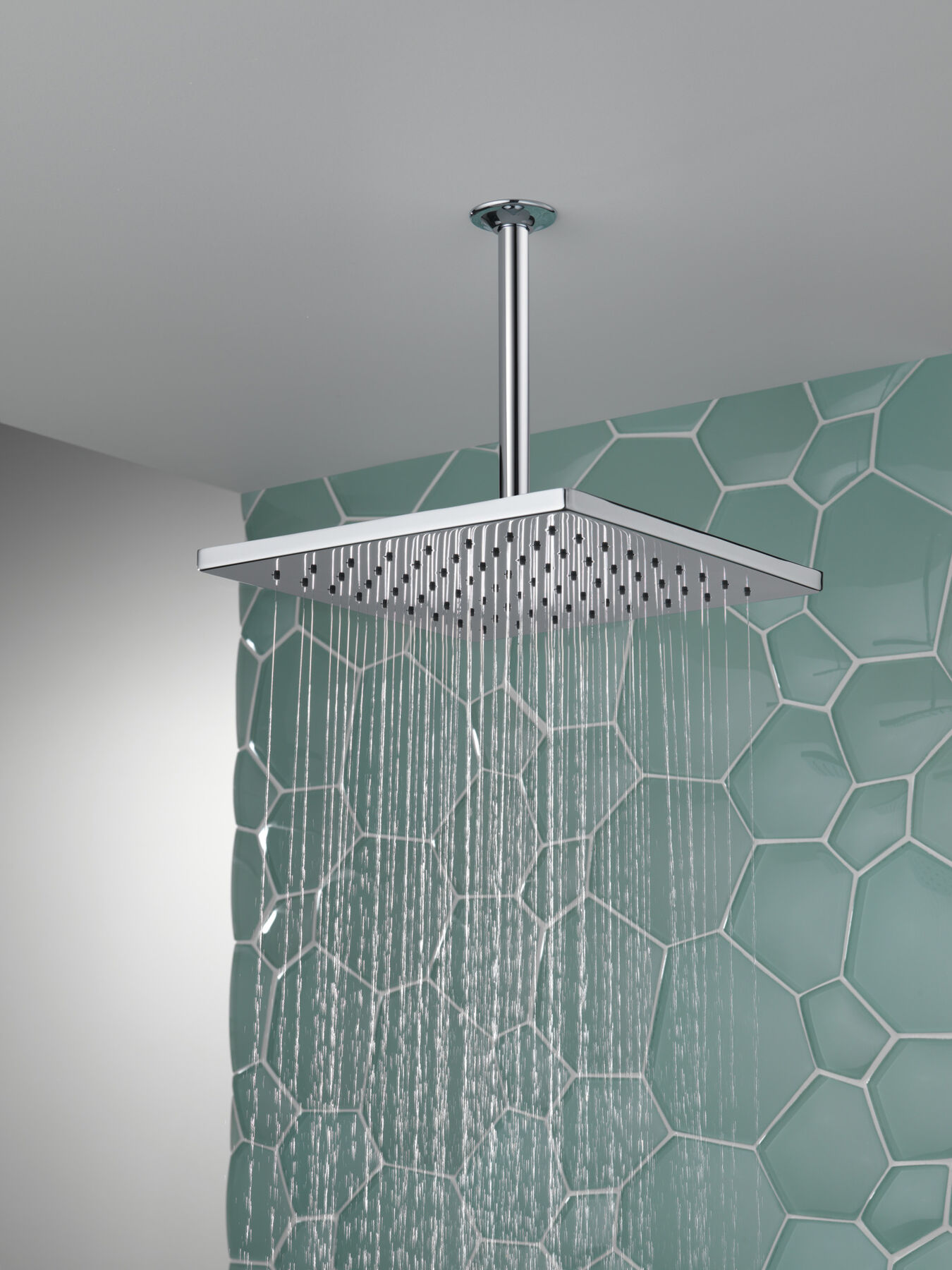 Single-Setting Metal Raincan Shower Head, image 3