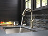 Pull-Down Bar/Prep Faucet 1L (Recertified)