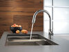 Pull-Down Kitchen Limited Swivel (Recertified)