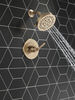 14 Series Shower Only Trim (Recertified)