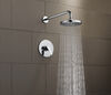 Shower Head