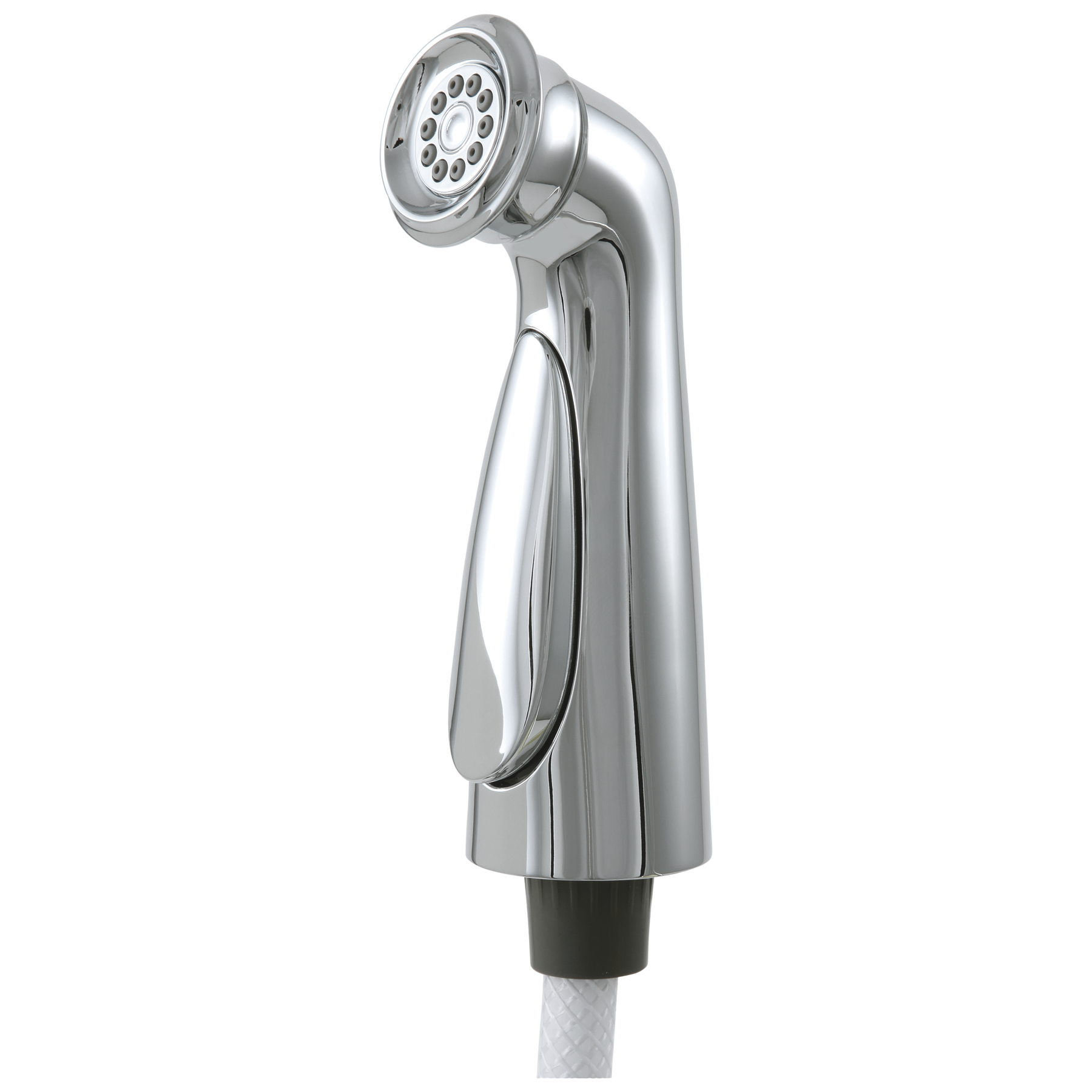 Side Spray & Hose Assembly