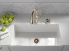 Glass Rinser (Recertified)