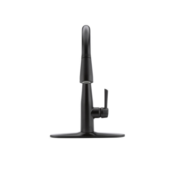 Single Handle Pull-down Kitchen Faucet (Recertified)