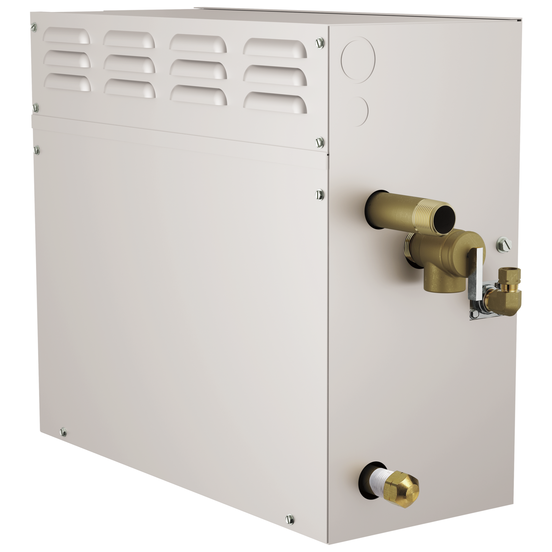 SimpleSteam™ Generator- 12kW
