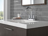 Two Handle Centerset Bathroom Faucet