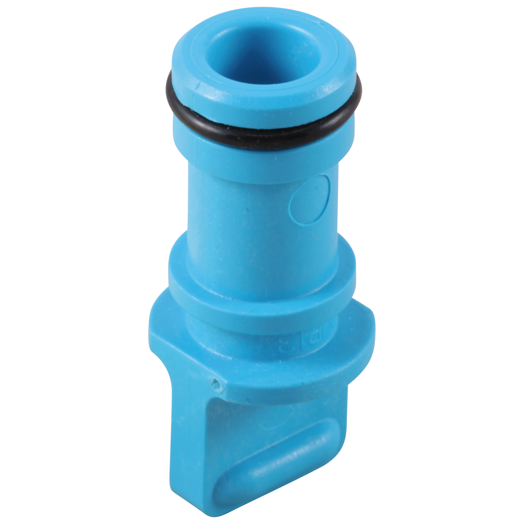 Spray Cap & O-Ring
