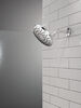 PivotPro™ Raincan Shower Head