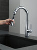 Single Handle Pull-Down Kitchen Faucet with Touch<sub>2</sub>O&reg; Technology