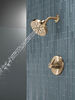 Shower Rough & Trim 1L 14S (Recertified)