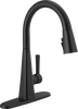 Pull-Down Kitchen Faucet 1L (Recertified)