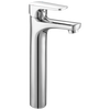 Single Handle Bathroom with Riser