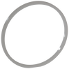 Slip Ring