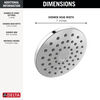 PivotPro™ Raincan Shower Head