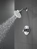 Monitor® 14 Series H2Okinetic® Shower