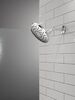 PivotPro&trade; Raincan Shower Head