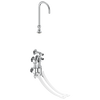 Wallmount Double-Pedal Surgeon's Scrub-up with Gooseneck Spout