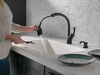 Single Handle Pull-Out Kitchen Faucet with Soap Dispenser and ShieldSpray&reg; Technology (Recertified)