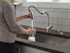 Single Handle Pull-Out Kitchen Faucet with Soap Dispenser and ShieldSpray® Technology
