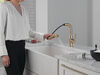 Pull-Out Kitchen Faucet (Recertified)