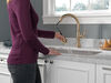 Pull-Down Kitchen w/ShieldSpray 1L (Recertified)
