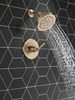 14 Series Shower Only Trim (Recertified)