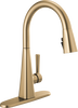 Pull-Down Kitchen Faucet 1L (Recertified)