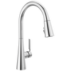 Single Handle Kitchen Pull-Down Faucet