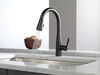 Single Handle Pull-down Kitchen Faucet (Recertified)