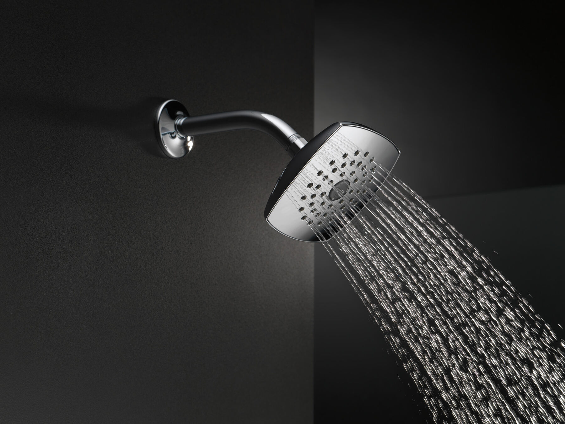 Single-Setting Raincan Shower Head, image 2