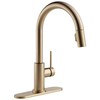 Single Handle Pull-Down Kitchen Faucet (Recertified)