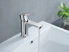 Single Handle Project-Pack Bathroom Faucet