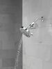 Standard Shower Filter with Shower Head Bundle