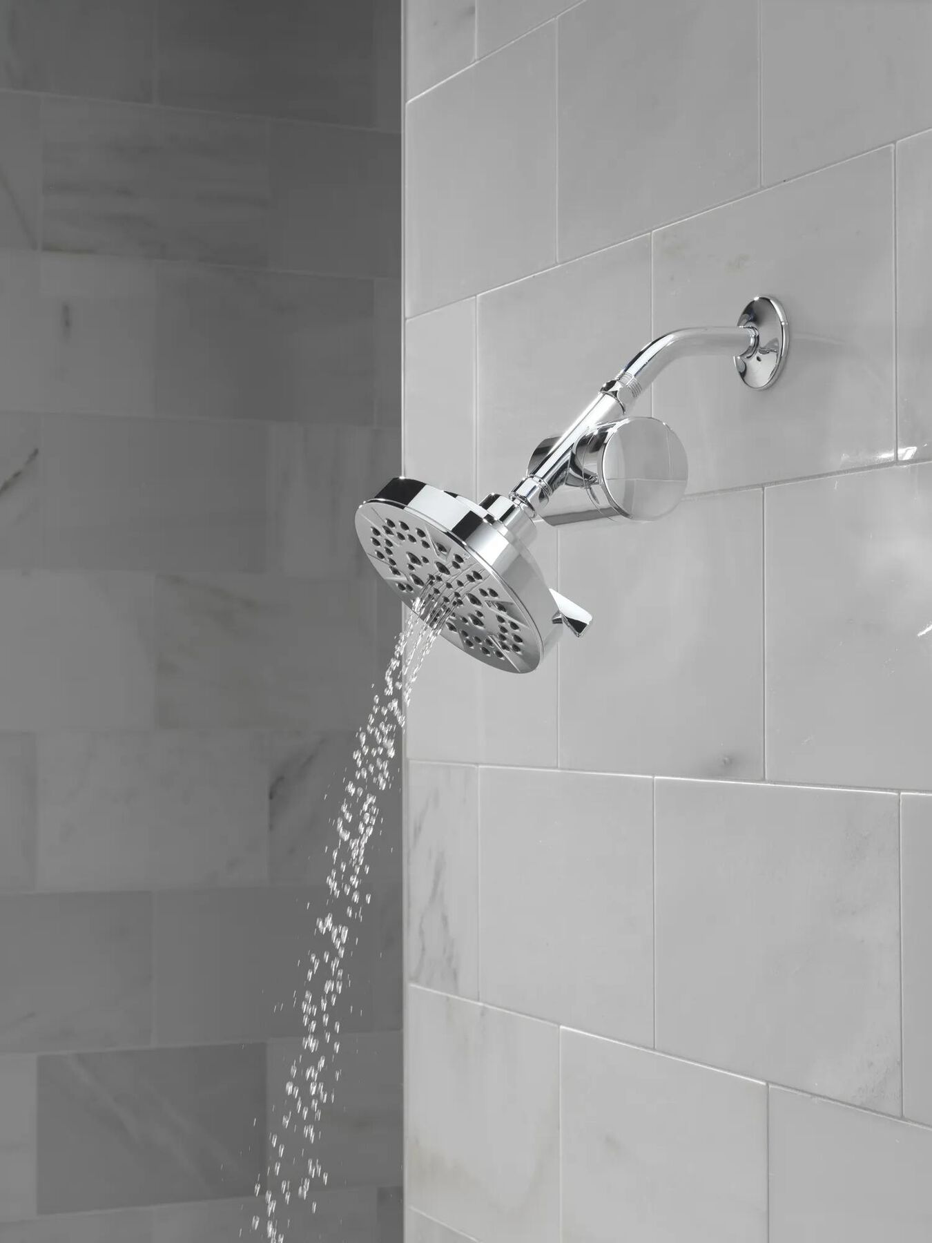 Standard Shower Filter with Shower Head Bundle
