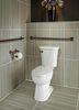 Traditional Tank Lever (Recertified)