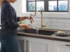 Pull-Down Kitchen w/ShieldSpray 1L (Recertified)