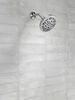 Fixed 5-Setting Showerhead