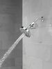 Standard Shower Filter Attachment